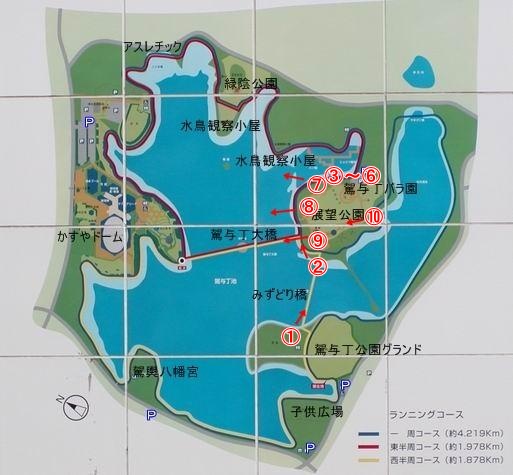 桜の花はここに咲いています
