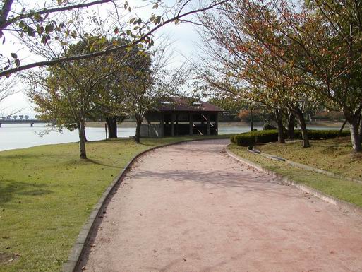 緑陰公園の突端にある水鳥観察小屋です
